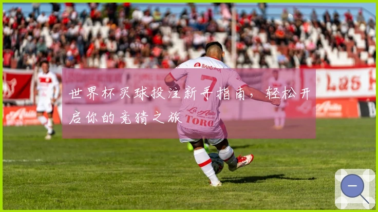 世界杯买球投注新手指南，轻松开启你的竞猜之旅