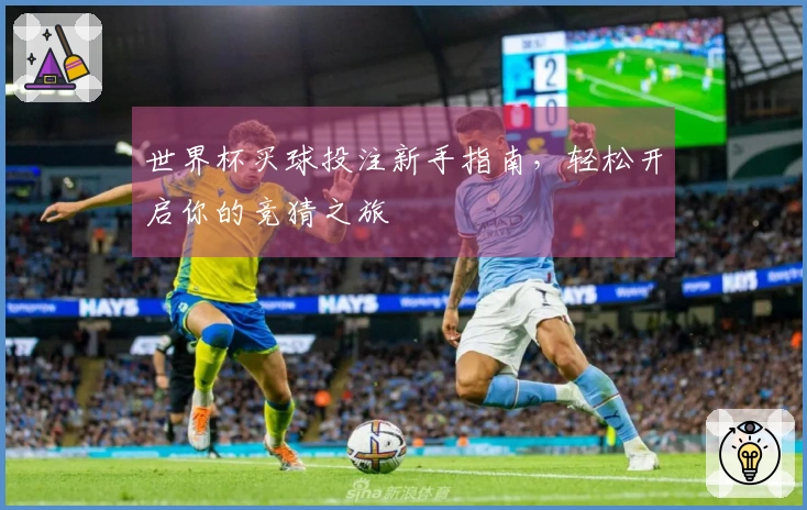 世界杯买球投注新手指南，轻松开启你的竞猜之旅